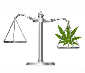 marijuana scales of justice
